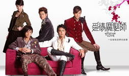 爱情魔发师电视剧在线,魔法师的爱情奇遇记